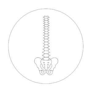Chiropraktik Behandlung in der Naturheilpraxis Navida in Lörrach