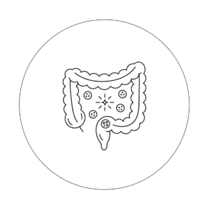 Darmtherapie Behandlung in der Naturheilpraxis Navida in Lörrach