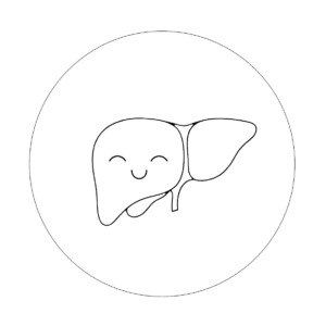 Entgiftung und Ausleitung Behandlung in der Naturheilpraxis Navida in Lörrach